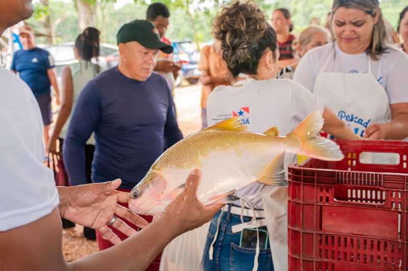  <div class='credito_fotos'>Foto: Karla Reis &nbsp;&nbsp;|&nbsp;&nbsp; <a href='/midias/2025/originais/8039_dad85988-6ef3-5bde-00e0-ed169bbce19a.jpg' download><i class='fa-solid fa-download'></i> Download</a></div>