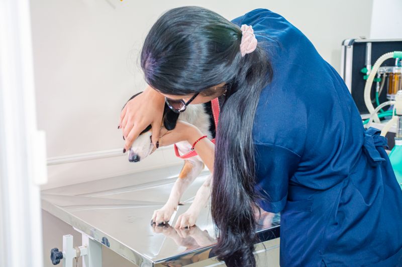  <div class='credito_fotos'>Foto: Karla Reis &nbsp;&nbsp;|&nbsp;&nbsp; <a href='/midias/2025/originais/8040_312c06e1-f864-183b-86ed-7bd084429902.jpg' download><i class='fa-solid fa-download'></i> Download</a></div>