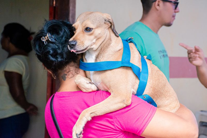  <div class='credito_fotos'>Foto: Karla Reis &nbsp;&nbsp;|&nbsp;&nbsp; <a href='/midias/2025/originais/8040_6e41273a-df1c-154f-ca34-22b3d8998544.jpg' download><i class='fa-solid fa-download'></i> Download</a></div>