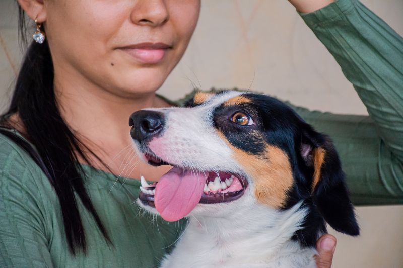  <div class='credito_fotos'>Foto: Karla Reis &nbsp;&nbsp;|&nbsp;&nbsp; <a href='/midias/2025/originais/8040_75eadd93-6c51-37f5-a9d3-1ee8fed25043.jpg' download><i class='fa-solid fa-download'></i> Download</a></div>