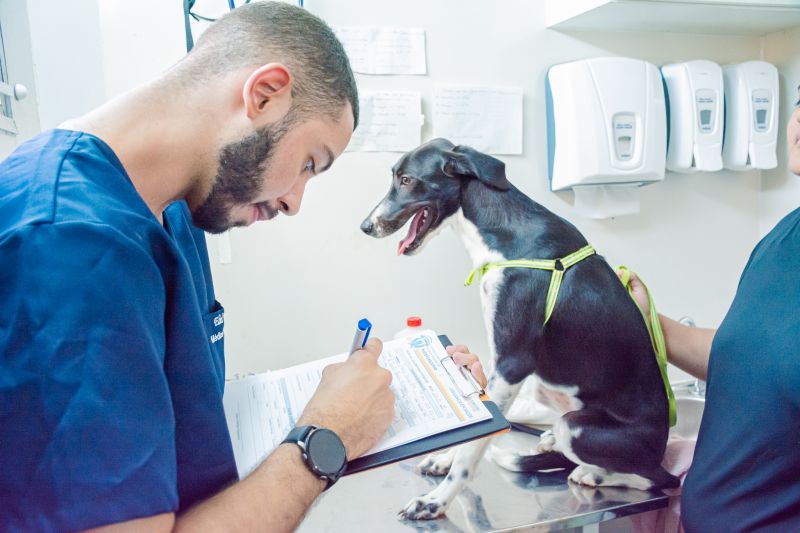  <div class='credito_fotos'>Foto: Karla Reis &nbsp;&nbsp;|&nbsp;&nbsp; <a href='/midias/2025/originais/8040_b56738df-db08-e393-6002-f161f38bccff.jpg' download><i class='fa-solid fa-download'></i> Download</a></div>