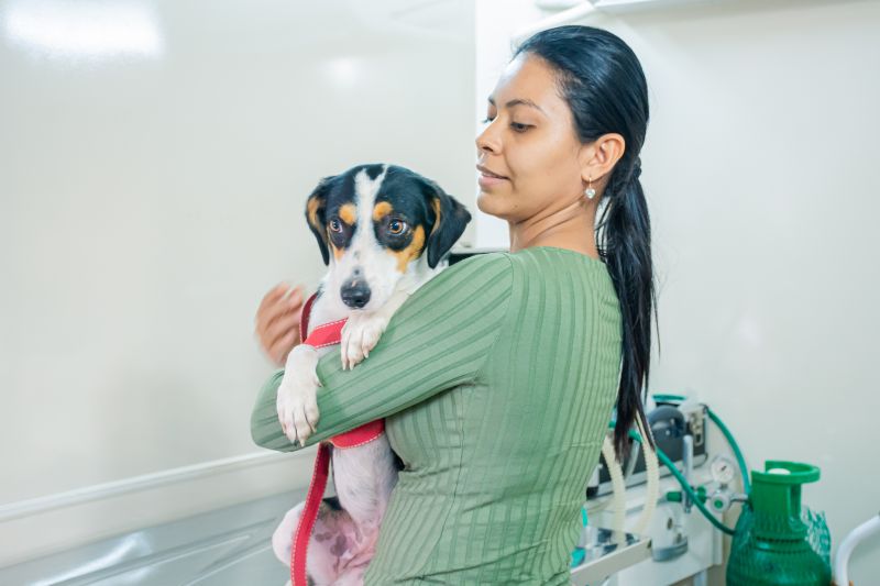  <div class='credito_fotos'>Foto: Karla Reis &nbsp;&nbsp;|&nbsp;&nbsp; <a href='/midias/2025/originais/8040_b870bd4f-bab6-89bf-33b3-d2963d527a0d.jpg' download><i class='fa-solid fa-download'></i> Download</a></div>