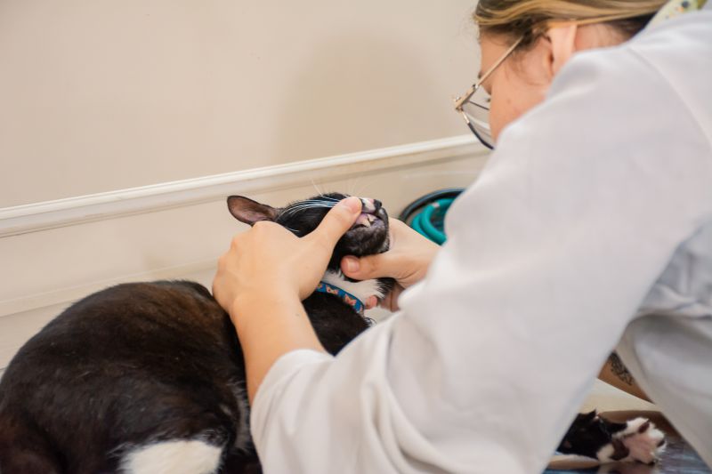  <div class='credito_fotos'>Foto: Karla Reis &nbsp;&nbsp;|&nbsp;&nbsp; <a href='/midias/2025/originais/8041_23c08076-aba2-924a-3daf-a49150092784.jpg' download><i class='fa-solid fa-download'></i> Download</a></div>