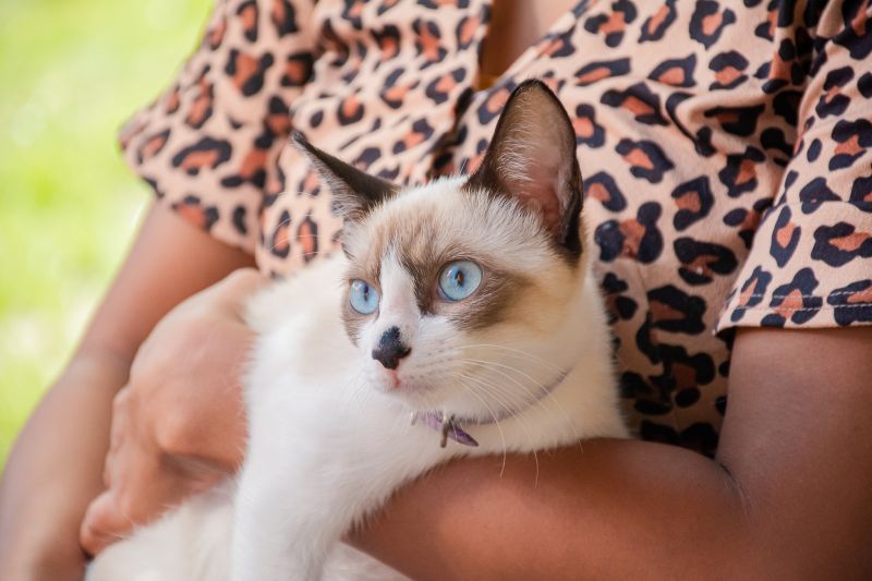  <div class='credito_fotos'>Foto: Karla Reis &nbsp;&nbsp;|&nbsp;&nbsp; <a href='/midias/2025/originais/8041_315acfca-ac3b-701c-17b6-15ee5c976585.jpg' download><i class='fa-solid fa-download'></i> Download</a></div>