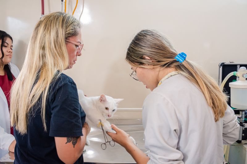  <div class='credito_fotos'>Foto: Karla Reis &nbsp;&nbsp;|&nbsp;&nbsp; <a href='/midias/2025/originais/8041_85627db2-77e3-72f9-a35a-e196f4e4c07e.jpg' download><i class='fa-solid fa-download'></i> Download</a></div>