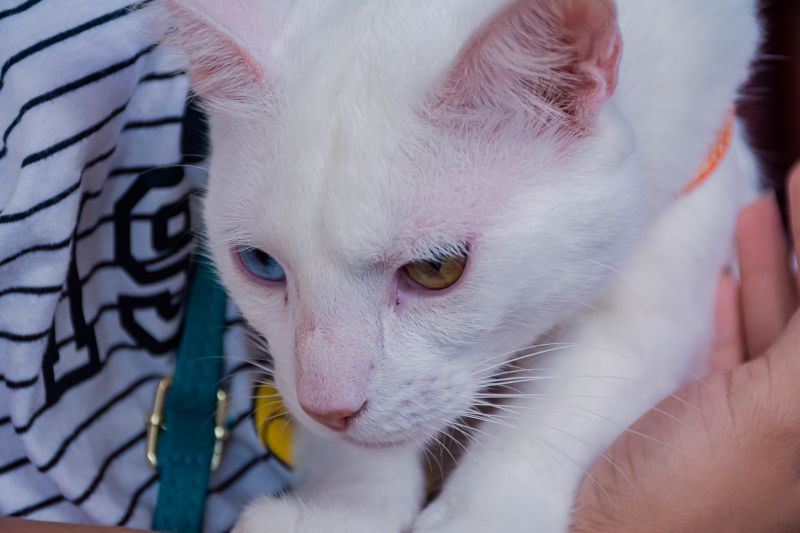  <div class='credito_fotos'>Foto: Karla Reis &nbsp;&nbsp;|&nbsp;&nbsp; <a href='/midias/2025/originais/8041_88fb79a1-63ee-8b17-721f-b4e3eaeec55e.jpg' download><i class='fa-solid fa-download'></i> Download</a></div>