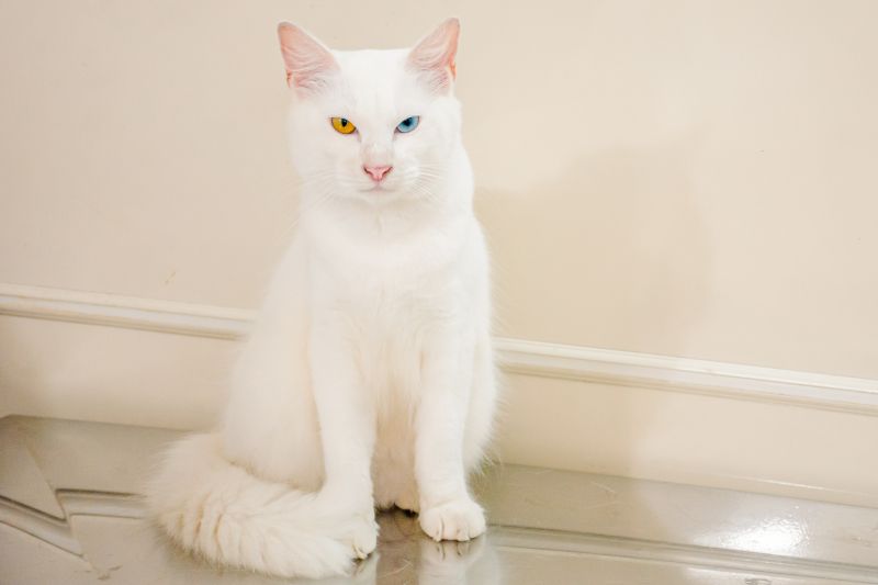  <div class='credito_fotos'>Foto: Karla Reis &nbsp;&nbsp;|&nbsp;&nbsp; <a href='/midias/2025/originais/8041_b715fe14-0a38-1cec-232a-68ff462399a7.jpg' download><i class='fa-solid fa-download'></i> Download</a></div>