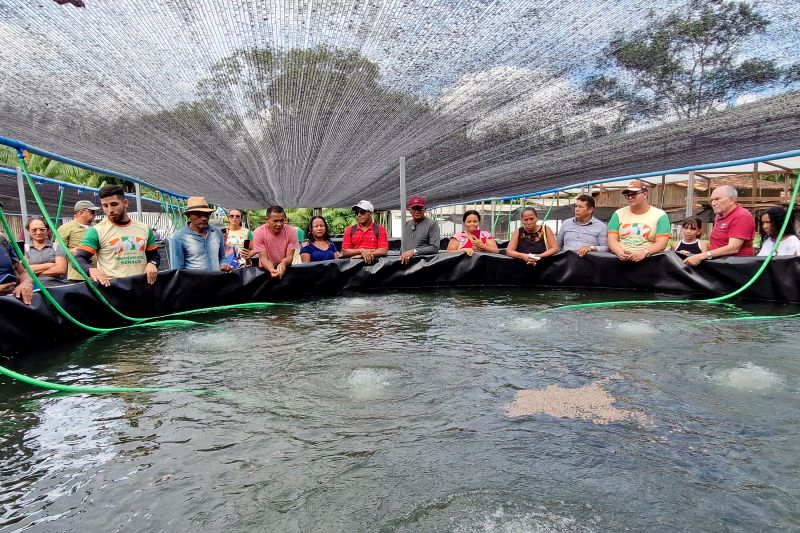 ENCERRAMENTO DO SEMINÁRIO DE PLANEJAMENTO SEMAGRI - VISITA A PROPRIEDADE SO SR LUIZ <div class='credito_fotos'>Foto: Márcio Souza &nbsp;&nbsp;|&nbsp;&nbsp; <a href='/midias/2025/originais/8050_97fc62bb-88ce-0c1e-c69f-57861d150867.jpg' download><i class='fa-solid fa-download'></i> Download</a></div>