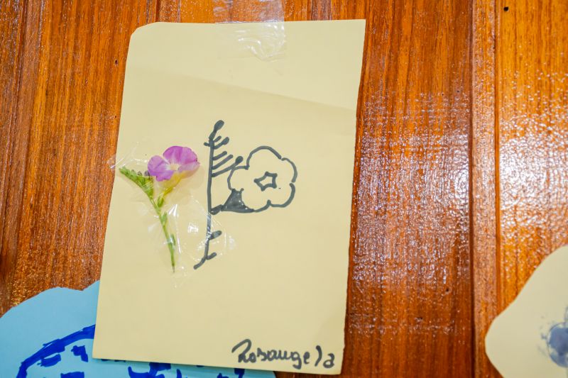  <div class='credito_fotos'>Foto: Karla Reis &nbsp;&nbsp;|&nbsp;&nbsp; <a href='/midias/2025/originais/8051_0199f8bd-6166-c5e6-d757-df6d3b51d797.jpg' download><i class='fa-solid fa-download'></i> Download</a></div>