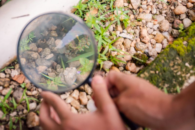  <div class='credito_fotos'>Foto: Karla Reis &nbsp;&nbsp;|&nbsp;&nbsp; <a href='/midias/2025/originais/8051_fef36116-947c-74b0-3c94-bde431f0ff4c.jpg' download><i class='fa-solid fa-download'></i> Download</a></div>