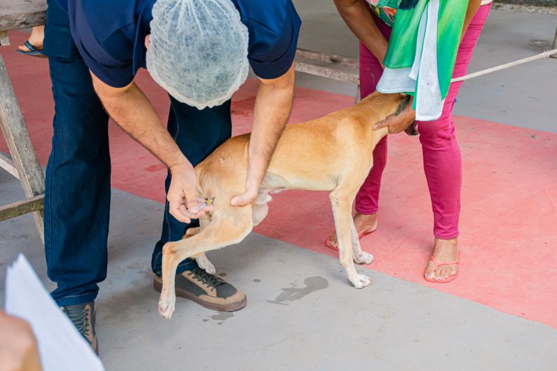  <div class='credito_fotos'>Foto: Karla Reis &nbsp;&nbsp;|&nbsp;&nbsp; <a href='/midias/2025/originais/8063_5f83d798-2c83-071e-ed7a-b72e47fb6279.jpg' download><i class='fa-solid fa-download'></i> Download</a></div>