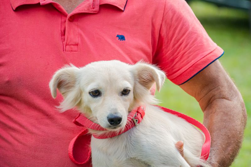  <div class='credito_fotos'>Foto: Karla Reis &nbsp;&nbsp;|&nbsp;&nbsp; <a href='/midias/2025/originais/8063_b03a84fd-c6a2-c107-435a-0502543aca92.jpg' download><i class='fa-solid fa-download'></i> Download</a></div>