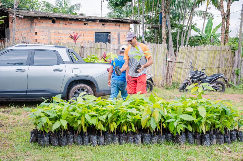  <div class='credito_fotos'>Foto: Karla Reis &nbsp;&nbsp;|&nbsp;&nbsp; <a href='/midias/2025/originais/8070_3c4bac6f-1fd8-8eed-46d7-948493725207.jpg' download><i class='fa-solid fa-download'></i> Download</a></div>