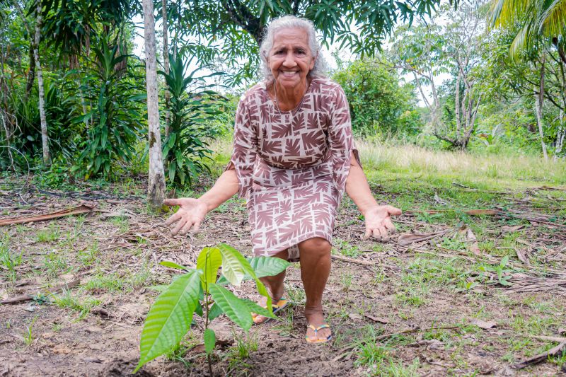  <div class='credito_fotos'>Foto: Karla Reis &nbsp;&nbsp;|&nbsp;&nbsp; <a href='/midias/2025/originais/8070_9432b36c-eec3-47f9-7e5b-9a35b28ff80f.jpg' download><i class='fa-solid fa-download'></i> Download</a></div>