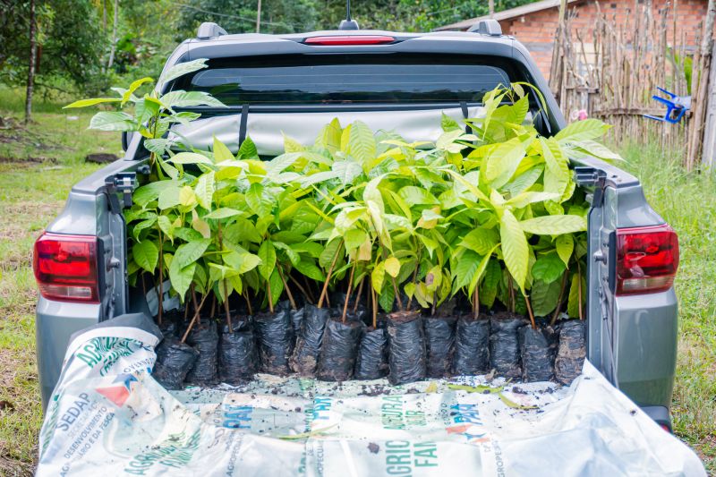  <div class='credito_fotos'>Foto: Karla Reis &nbsp;&nbsp;|&nbsp;&nbsp; <a href='/midias/2025/originais/8070_ba797dfa-6e48-338d-1c50-a7ab0e4f15e3.jpg' download><i class='fa-solid fa-download'></i> Download</a></div>