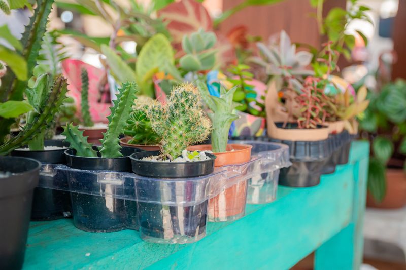  <div class='credito_fotos'>Foto: Karla Reis &nbsp;&nbsp;|&nbsp;&nbsp; <a href='/midias/2025/originais/8075_20ae1bda-4856-ba0d-9a82-7291eb09ec28.jpg' download><i class='fa-solid fa-download'></i> Download</a></div>