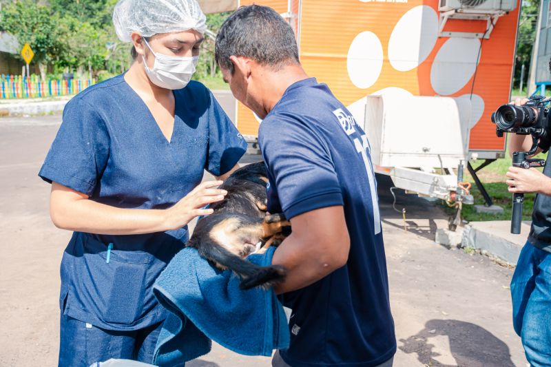  <div class='credito_fotos'>Foto: Karla Reis &nbsp;&nbsp;|&nbsp;&nbsp; <a href='/midias/2025/originais/8087_58ded5a8-f975-8576-2a7a-0c4c3835f65d.jpg' download><i class='fa-solid fa-download'></i> Download</a></div>