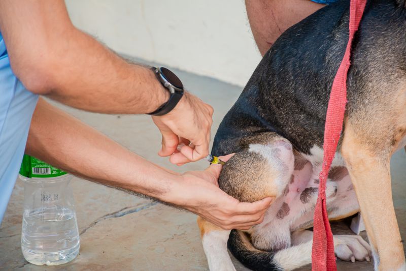  <div class='credito_fotos'>Foto: Karla Reis &nbsp;&nbsp;|&nbsp;&nbsp; <a href='/midias/2025/originais/8087_84bc1666-28d0-80a4-23ed-c136c2e10e5b.jpg' download><i class='fa-solid fa-download'></i> Download</a></div>