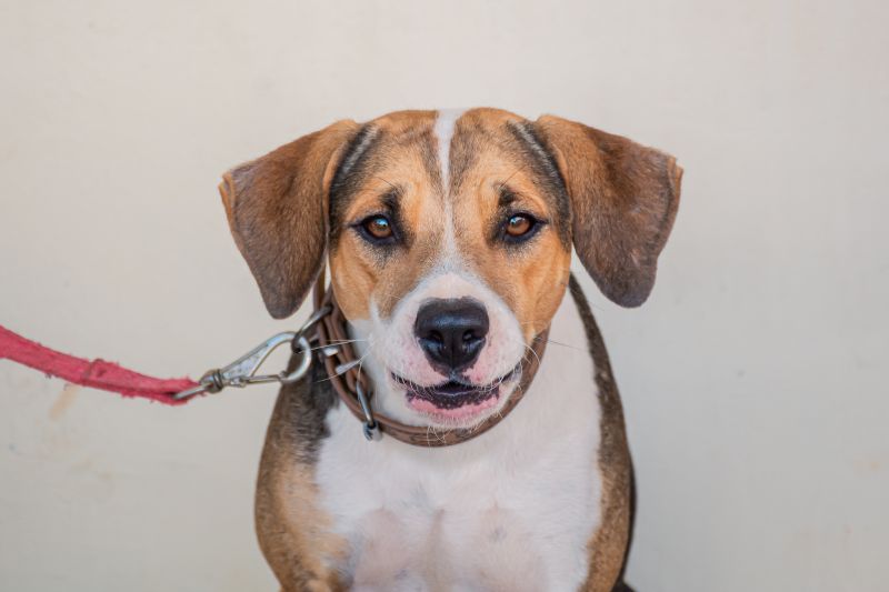  <div class='credito_fotos'>Foto: Karla Reis &nbsp;&nbsp;|&nbsp;&nbsp; <a href='/midias/2025/originais/8087_ea46cbea-0085-5a40-b92d-6ec9d0bea901.jpg' download><i class='fa-solid fa-download'></i> Download</a></div>