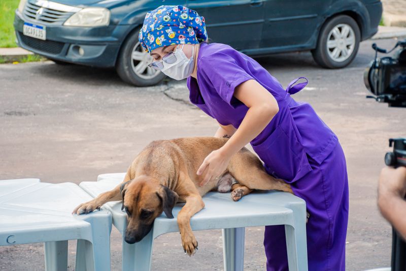  <div class='credito_fotos'>Foto: Karla Reis &nbsp;&nbsp;|&nbsp;&nbsp; <a href='/midias/2025/originais/8087_f0992c32-1d3e-2557-94f0-458c8843a890.jpg' download><i class='fa-solid fa-download'></i> Download</a></div>