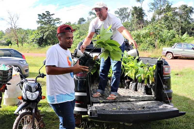 Oficina de Mandiocultura SEMAT <div class='credito_fotos'>Foto: Márcio Souza &nbsp;&nbsp;|&nbsp;&nbsp; <a href='/midias/2025/originais/8096_254d73aa-5700-8840-8872-2841fb115820.jpg' download><i class='fa-solid fa-download'></i> Download</a></div>