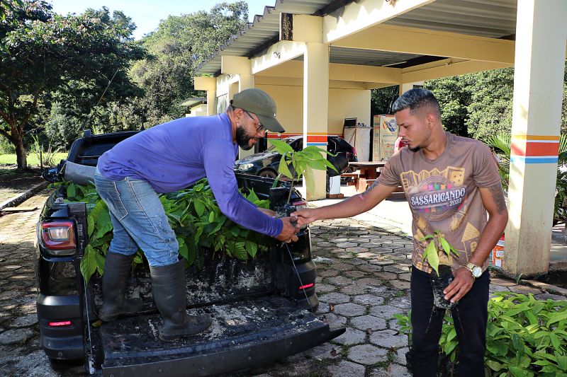 Oficina de Mandiocultura SEMAT <div class='credito_fotos'>Foto: Márcio Souza &nbsp;&nbsp;|&nbsp;&nbsp; <a href='/midias/2025/originais/8096_ca5261e5-6390-e637-517d-2c626bb7af1d.jpg' download><i class='fa-solid fa-download'></i> Download</a></div>