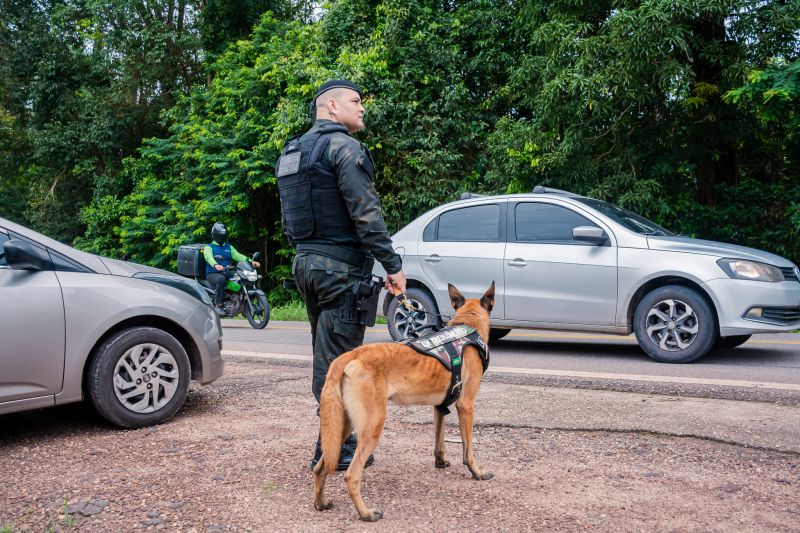  <div class='credito_fotos'>Foto: Karla Reis &nbsp;&nbsp;|&nbsp;&nbsp; <a href='/midias/2025/originais/8105_2a6a8a91-bbbd-1d9e-782a-3f4e12e4e69c.jpg' download><i class='fa-solid fa-download'></i> Download</a></div>