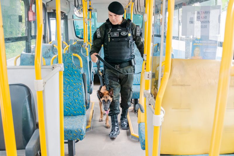  <div class='credito_fotos'>Foto: Karla Reis &nbsp;&nbsp;|&nbsp;&nbsp; <a href='/midias/2025/originais/8105_2d4a4302-86e4-703e-e492-27a0c64e1bcc.jpg' download><i class='fa-solid fa-download'></i> Download</a></div>