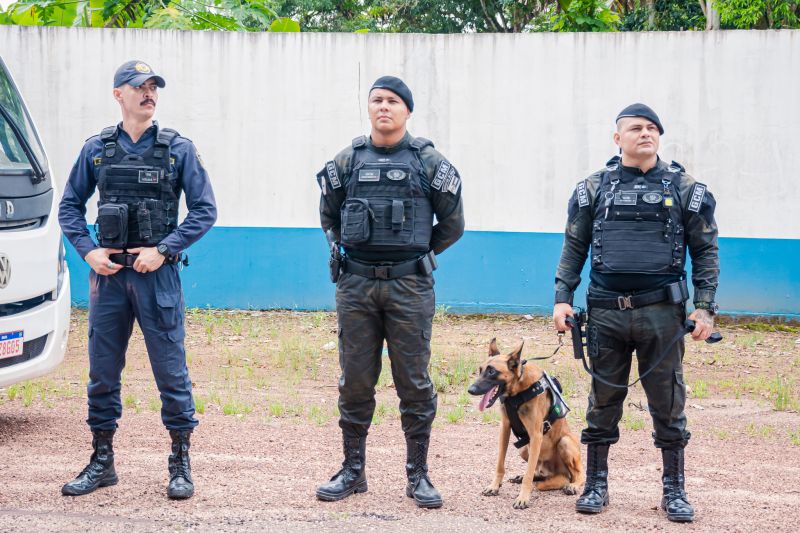  <div class='credito_fotos'>Foto: Karla Reis &nbsp;&nbsp;|&nbsp;&nbsp; <a href='/midias/2025/originais/8105_35245181-1d66-bfea-54c3-5f81bd8b2a61.jpg' download><i class='fa-solid fa-download'></i> Download</a></div>