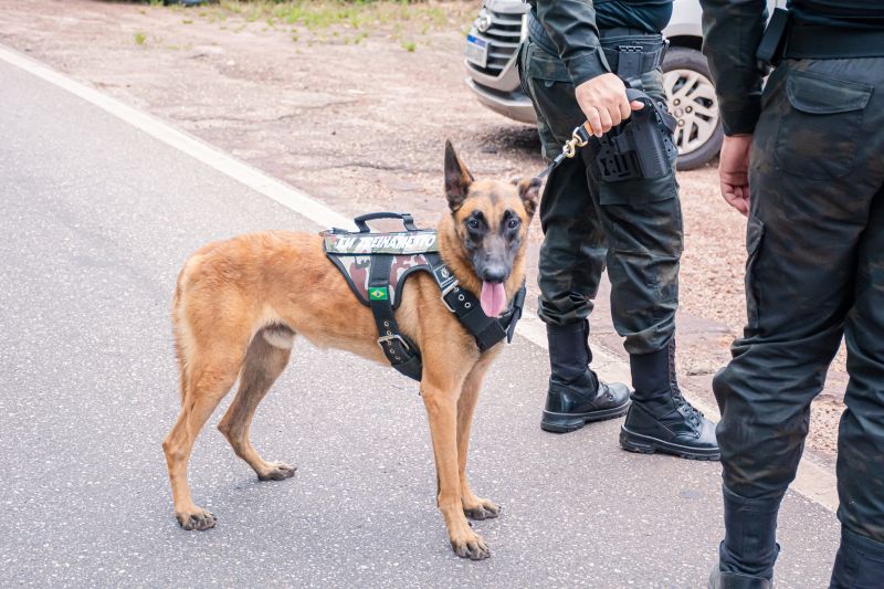  <div class='credito_fotos'>Foto: Karla Reis &nbsp;&nbsp;|&nbsp;&nbsp; <a href='/midias/2025/originais/8105_43a3f874-6dca-14f6-a3c0-2a4c298ce2f1.jpg' download><i class='fa-solid fa-download'></i> Download</a></div>