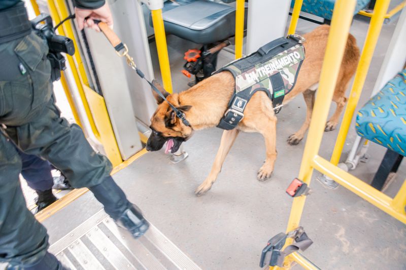  <div class='credito_fotos'>Foto: Karla Reis &nbsp;&nbsp;|&nbsp;&nbsp; <a href='/midias/2025/originais/8105_5c4e844f-7c62-70c6-bb22-2d4fe46d3e42.jpg' download><i class='fa-solid fa-download'></i> Download</a></div>