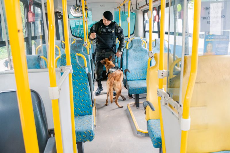  <div class='credito_fotos'>Foto: Karla Reis &nbsp;&nbsp;|&nbsp;&nbsp; <a href='/midias/2025/originais/8105_8311cb30-8a19-0d9f-d2d8-49031fef84ac.jpg' download><i class='fa-solid fa-download'></i> Download</a></div>