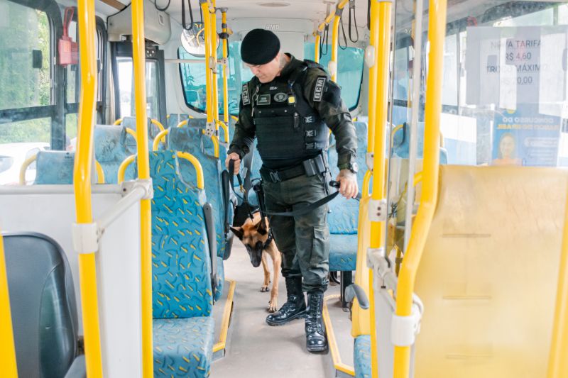  <div class='credito_fotos'>Foto: Karla Reis &nbsp;&nbsp;|&nbsp;&nbsp; <a href='/midias/2025/originais/8105_f31a0a97-355a-fea9-ec77-ad374e74677c.jpg' download><i class='fa-solid fa-download'></i> Download</a></div>