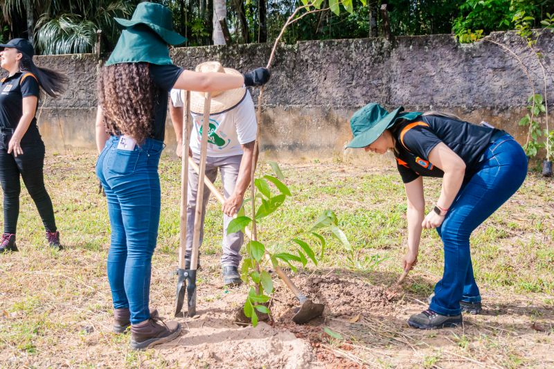  <div class='credito_fotos'>Foto: Karla Reis &nbsp;&nbsp;|&nbsp;&nbsp; <a href='/midias/2025/originais/9116_1eb21911-1d5a-34c2-0026-521415a11c18.jpg' download><i class='fa-solid fa-download'></i> Download</a></div>