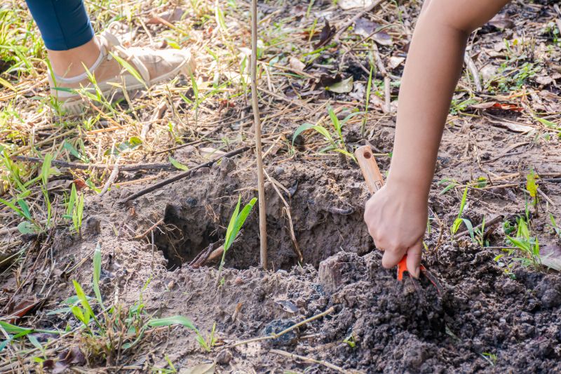  <div class='credito_fotos'>Foto: Karla Reis &nbsp;&nbsp;|&nbsp;&nbsp; <a href='/midias/2025/originais/9116_bd6ee044-92da-d843-07a1-33e72583b595.jpg' download><i class='fa-solid fa-download'></i> Download</a></div>