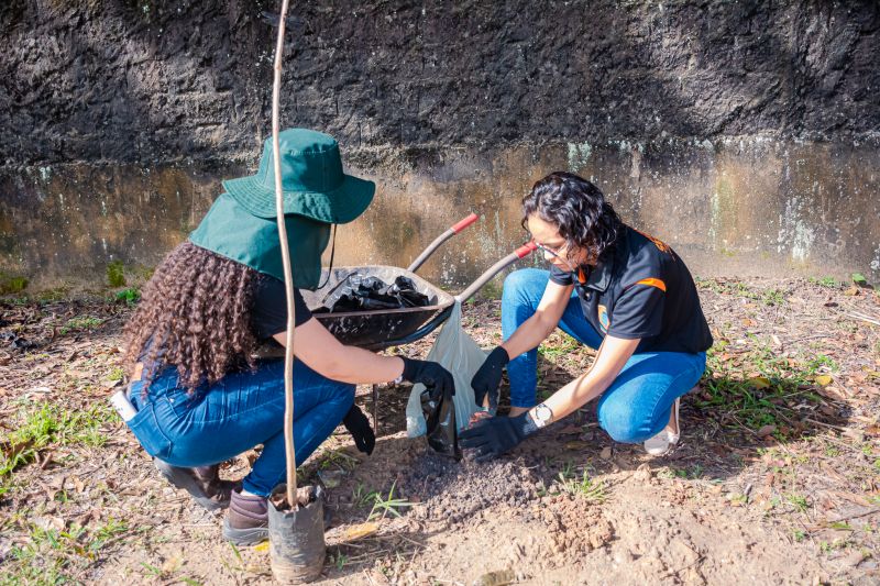  <div class='credito_fotos'>Foto: Karla Reis &nbsp;&nbsp;|&nbsp;&nbsp; <a href='/midias/2025/originais/9116_db79bde4-69d1-e3c0-24ab-1bf9a7a10799.jpg' download><i class='fa-solid fa-download'></i> Download</a></div>