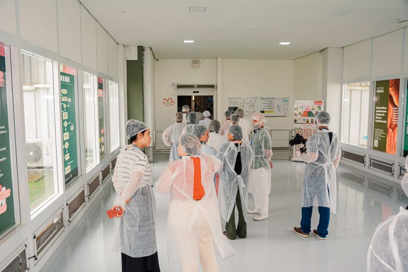  <div class='credito_fotos'>Foto: Karla Reis &nbsp;&nbsp;|&nbsp;&nbsp; <a href='/midias/2025/originais/9119_d8162013-2f9a-08ed-1c94-bf0da991d3c0.jpg' download><i class='fa-solid fa-download'></i> Download</a></div>