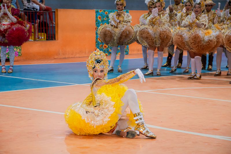  <div class='credito_fotos'>Foto: Karla Reis &nbsp;&nbsp;|&nbsp;&nbsp; <a href='/midias/2025/originais/9135_a5012487-1e0f-c9b3-9da3-0fb1424f1b13.jpg' download><i class='fa-solid fa-download'></i> Download</a></div>