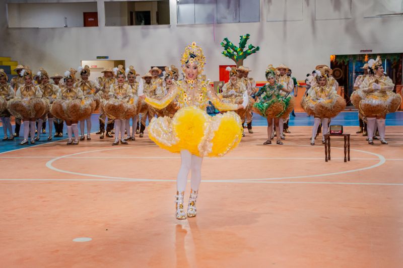  <div class='credito_fotos'>Foto: Karla Reis &nbsp;&nbsp;|&nbsp;&nbsp; <a href='/midias/2025/originais/9135_c8957e33-d06d-654f-efd5-eb9c2dccfedb.jpg' download><i class='fa-solid fa-download'></i> Download</a></div>