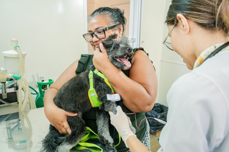  <div class='credito_fotos'>Foto: Karla Reis &nbsp;&nbsp;|&nbsp;&nbsp; <a href='/midias/2025/originais/9137_1f803663-5616-415e-6616-d2b30563a81c.jpg' download><i class='fa-solid fa-download'></i> Download</a></div>