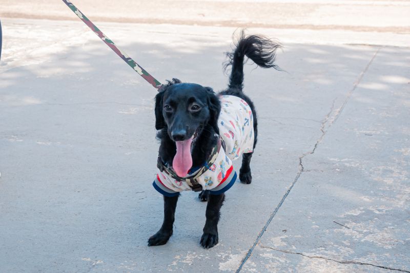  <div class='credito_fotos'>Foto: Karla Reis &nbsp;&nbsp;|&nbsp;&nbsp; <a href='/midias/2025/originais/9137_34add9d7-c13c-45d4-c475-83959422f9e6.jpg' download><i class='fa-solid fa-download'></i> Download</a></div>