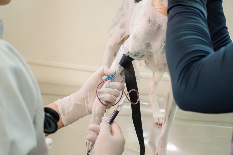  <div class='credito_fotos'>Foto: Karla Reis &nbsp;&nbsp;|&nbsp;&nbsp; <a href='/midias/2025/originais/9137_4ad842ff-12df-a66f-cc87-94f770bd6e55.jpg' download><i class='fa-solid fa-download'></i> Download</a></div>