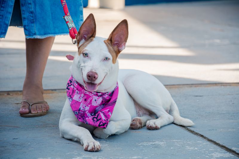  <div class='credito_fotos'>Foto: Karla Reis &nbsp;&nbsp;|&nbsp;&nbsp; <a href='/midias/2025/originais/9137_826a392a-3ada-bc85-2bda-bba5df9d59d7.jpg' download><i class='fa-solid fa-download'></i> Download</a></div>