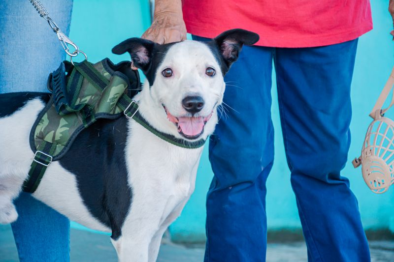  <div class='credito_fotos'>Foto: Karla Reis &nbsp;&nbsp;|&nbsp;&nbsp; <a href='/midias/2025/originais/9137_9fad0f95-7df6-d280-111d-469c7cdfed75.jpg' download><i class='fa-solid fa-download'></i> Download</a></div>