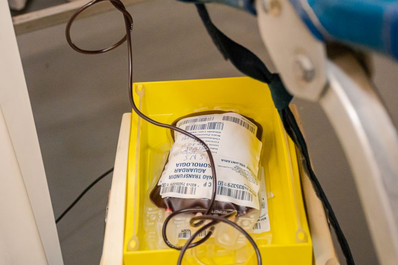  <div class='credito_fotos'>Foto: Karla Reis &nbsp;&nbsp;|&nbsp;&nbsp; <a href='/midias/2025/originais/9148_0314c173-92a1-82c3-08f3-521fa1206c08.jpg' download><i class='fa-solid fa-download'></i> Download</a></div>