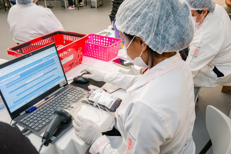  <div class='credito_fotos'>Foto: Karla Reis &nbsp;&nbsp;|&nbsp;&nbsp; <a href='/midias/2025/originais/9148_055c4f77-1d3f-ab54-c985-554c3006e294.jpg' download><i class='fa-solid fa-download'></i> Download</a></div>