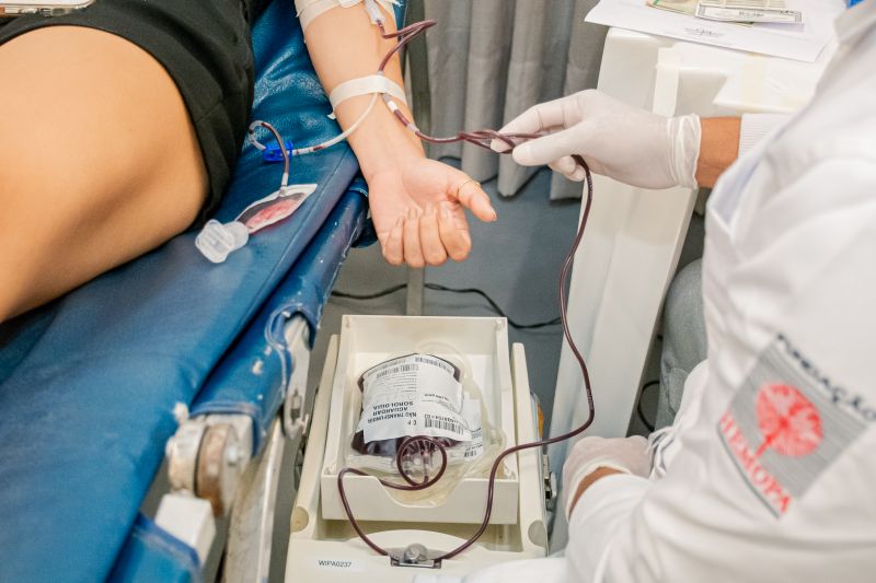  <div class='credito_fotos'>Foto: Karla Reis &nbsp;&nbsp;|&nbsp;&nbsp; <a href='/midias/2025/originais/9148_30293051-13a2-5dbf-284e-c7c0178b9cc6.jpg' download><i class='fa-solid fa-download'></i> Download</a></div>