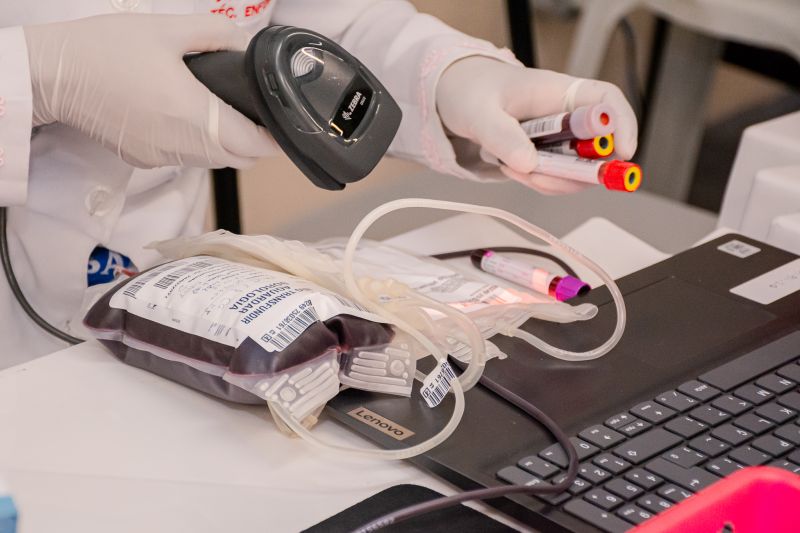  <div class='credito_fotos'>Foto: Karla Reis &nbsp;&nbsp;|&nbsp;&nbsp; <a href='/midias/2025/originais/9148_bb0b0545-9750-c506-0813-717cd69ba7c1.jpg' download><i class='fa-solid fa-download'></i> Download</a></div>