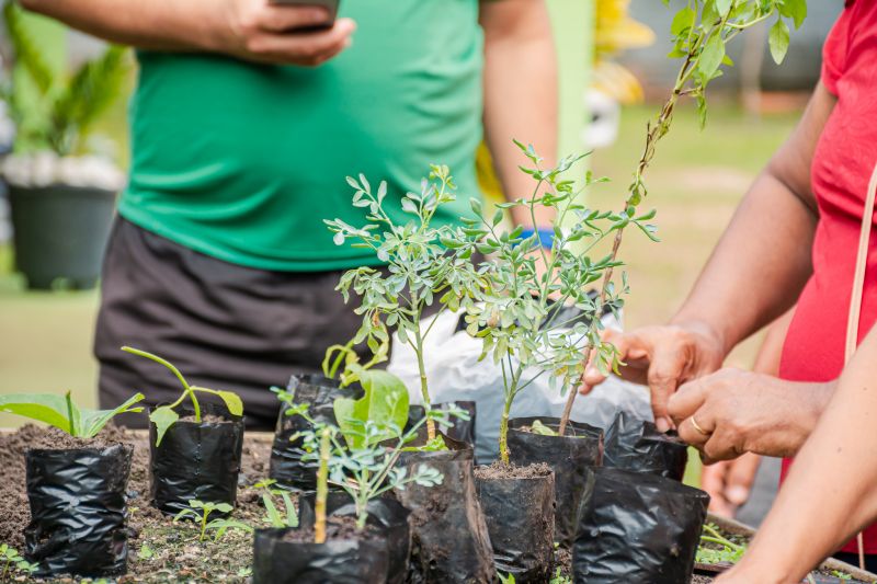  <div class='credito_fotos'>Foto: Karla Reis &nbsp;&nbsp;|&nbsp;&nbsp; <a href='/midias/2025/originais/9150_27223699-1c59-3469-c6a4-c09cfe069bcb.jpg' download><i class='fa-solid fa-download'></i> Download</a></div>