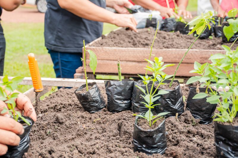  <div class='credito_fotos'>Foto: Karla Reis &nbsp;&nbsp;|&nbsp;&nbsp; <a href='/midias/2025/originais/9150_2d709f3c-cc0f-bf5b-a5fd-aea784db9f5f.jpg' download><i class='fa-solid fa-download'></i> Download</a></div>